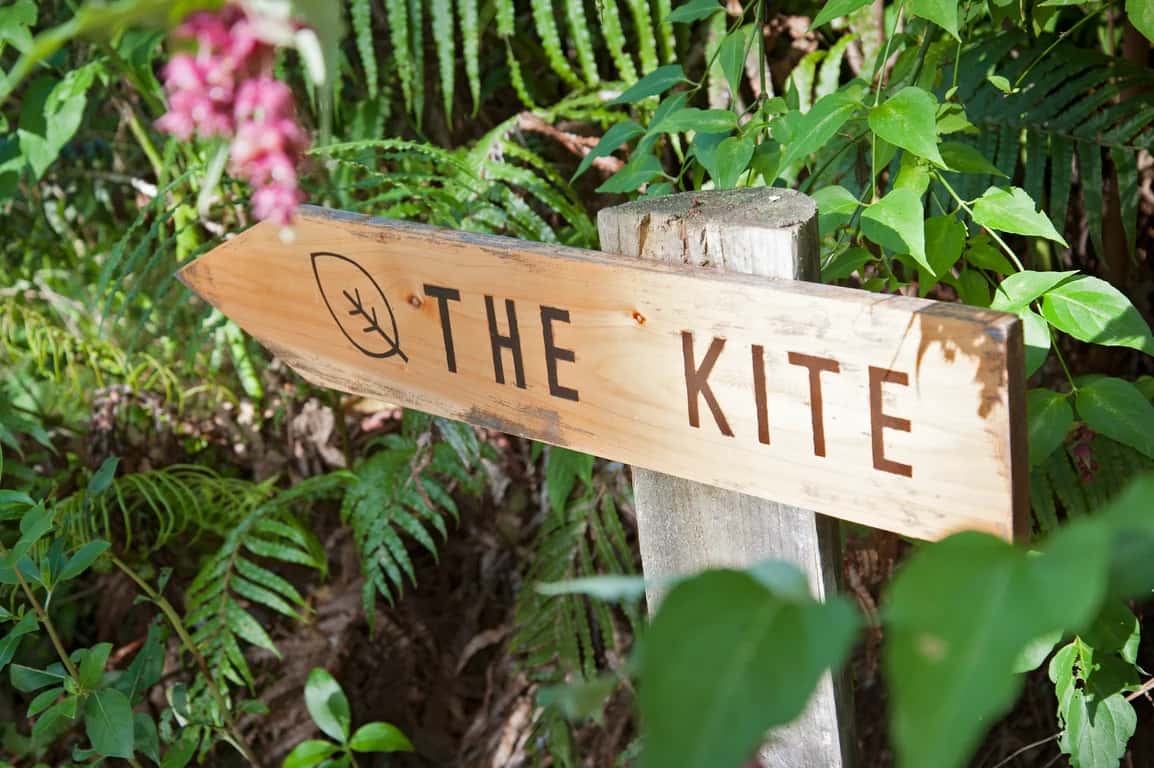 The Kite photo 3