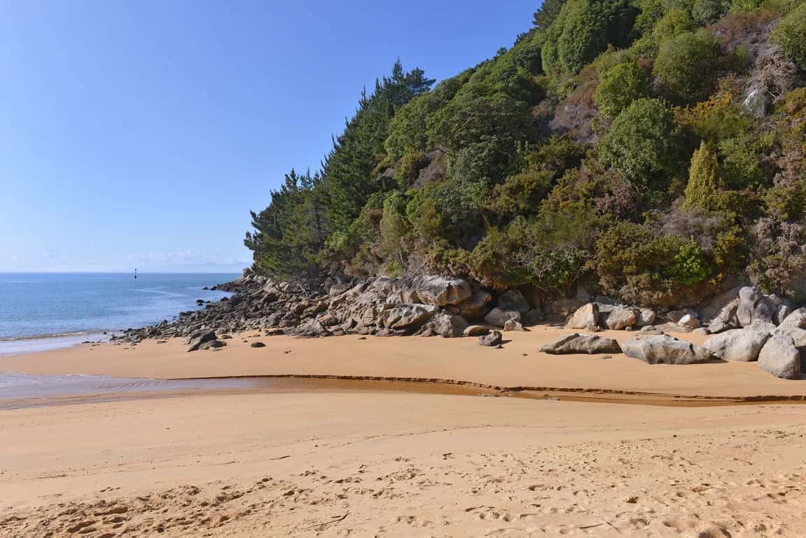 Ngaio Beach House photo 3