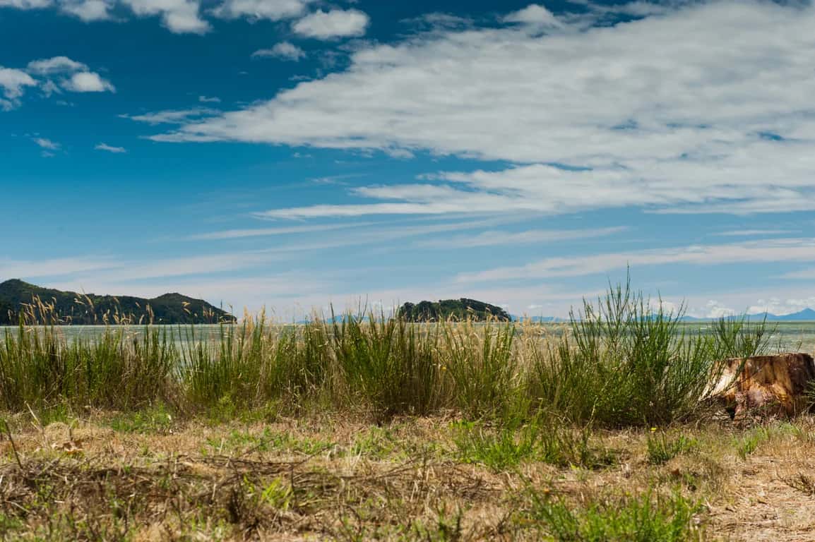 Haumoana (Only Available to Wakatu Shareholders) photo 1