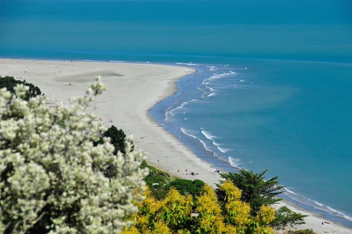 Moana View, photo 2