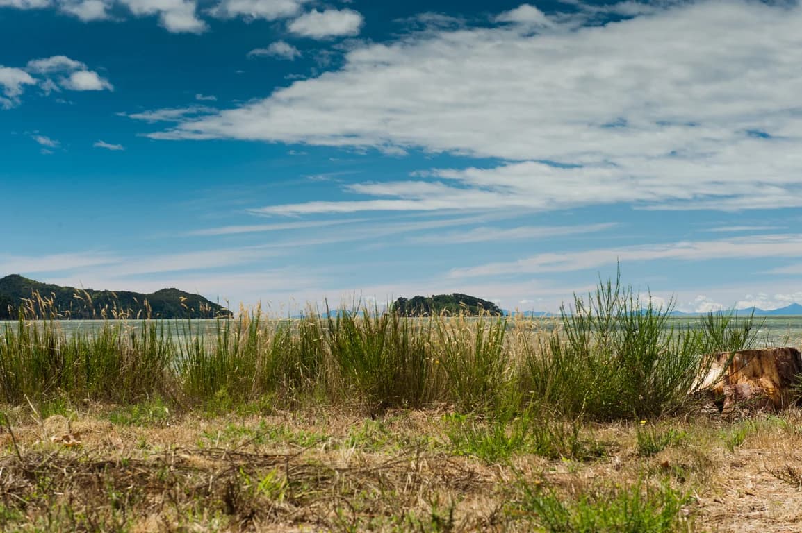 Haumoana (Only Available to Wakatu Shareholders)